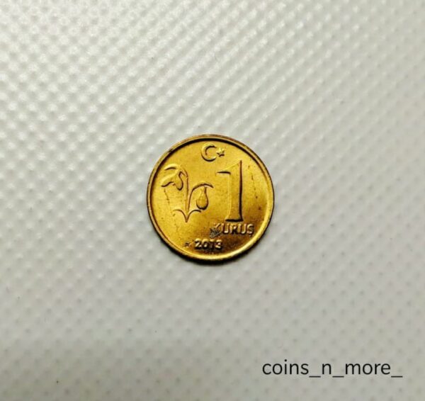 Turkey 1 Kurus Coin