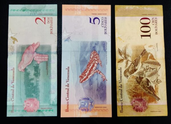 Venezuela Banknote Set