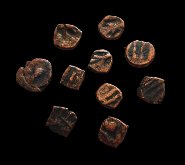 Kashmir Samast Dynasty coins 6 AD
