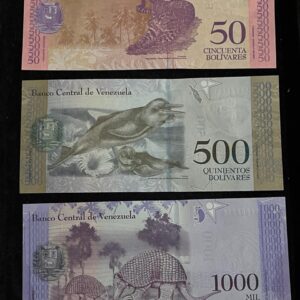 Venezuela Banknote Set in UNC Condition