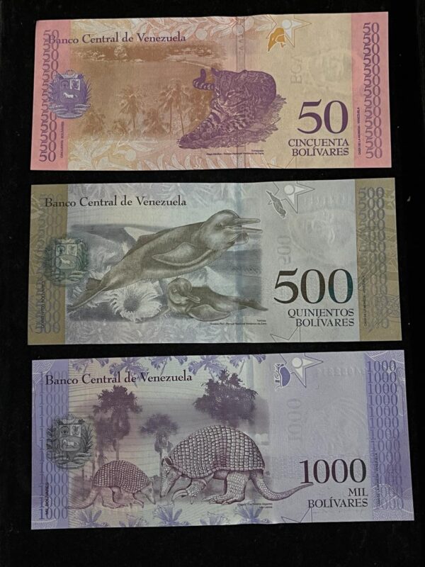 Venezuela Banknote Set in UNC Condition - Image 2
