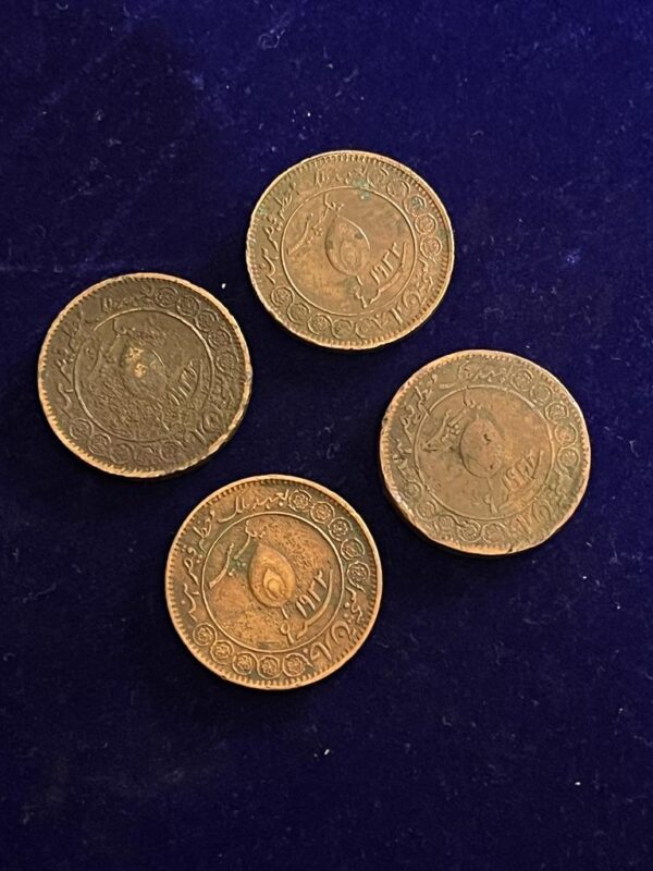 Princely state of Tonk Coin - Image 3