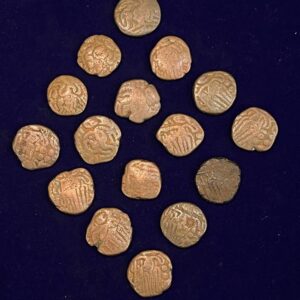 Chola Dynasty Coin