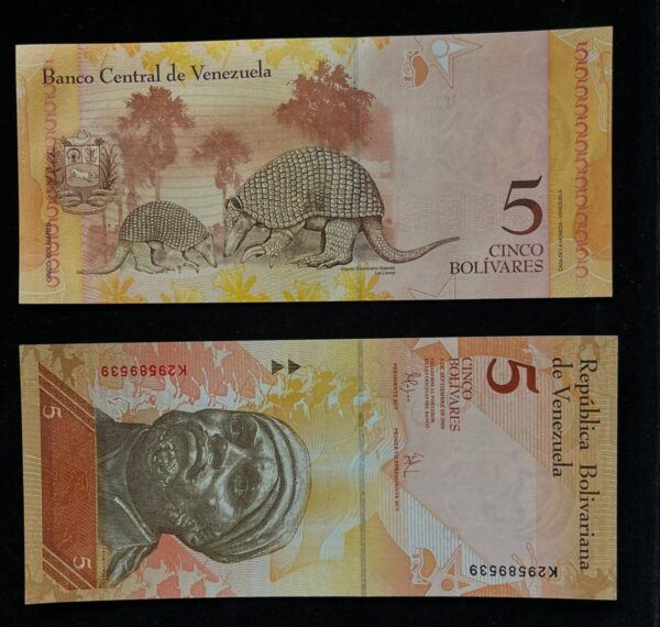 Venezuelan 5 Bolivar Banknote