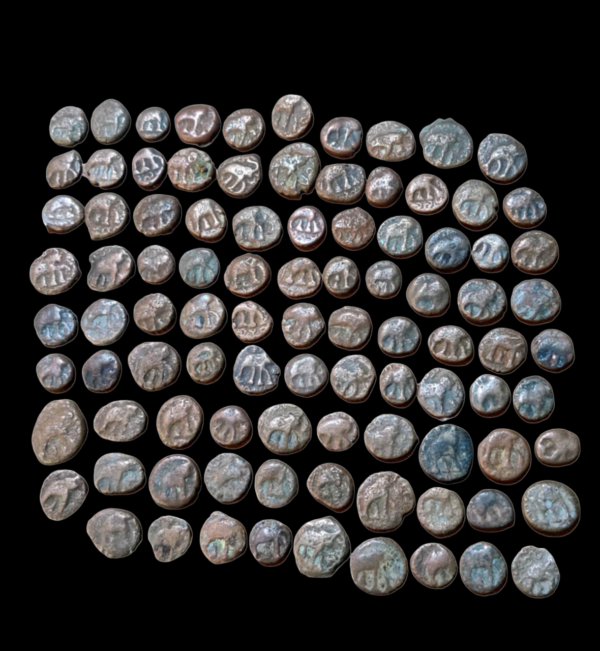 Satvahna Dynasty Sri Satkarni Nevasa Paithan Region Coins
