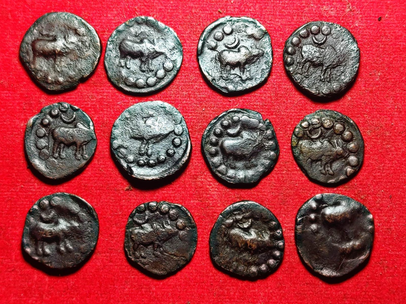 Licchaivi Dynasty Coin Coinsstuff licchaivi-dynasty-coin-coinsstuff