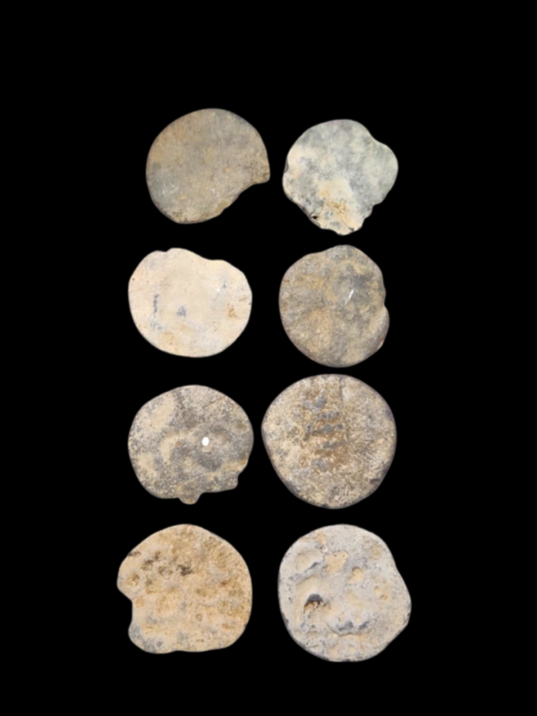 Chutus of Banavasi Lead Karshapana Coin - Image 2