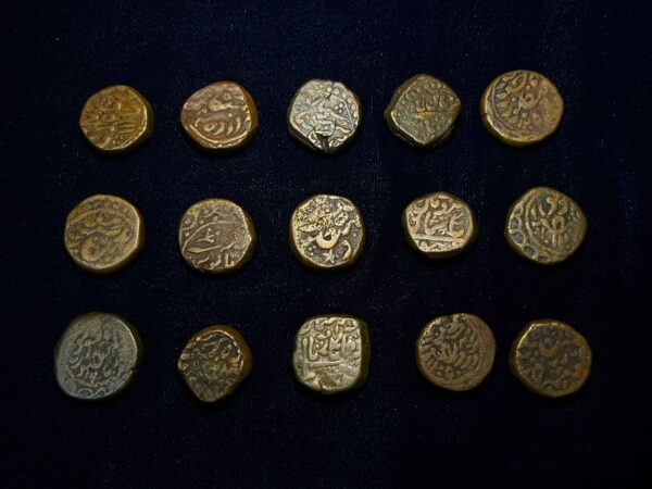 Jodhpur state coin