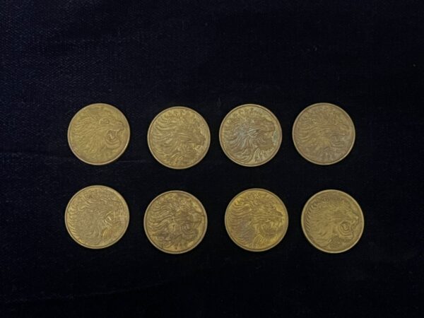 Ethiopia 10 Santeem Coin – Majestic Lion & Ox Design (1996–2004)