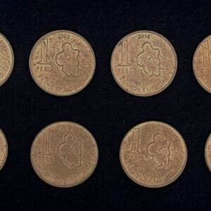 Argentina 1 Peso – Jacarandá Tree Series (2017–2020)