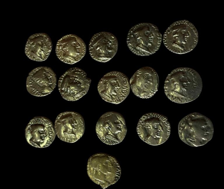 Rare Western Kshatrapas – Nahapana Silver Drachma - coinsstuff