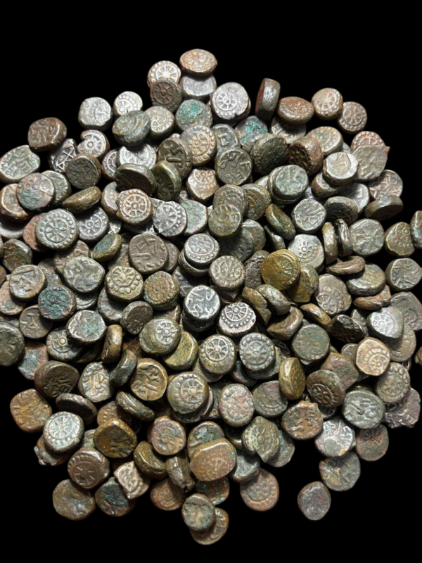 Devnaga naga dynasty coin