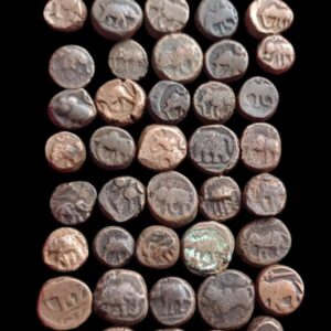 Vijaynagar Empire Sadashiva Raya Elephant Variety