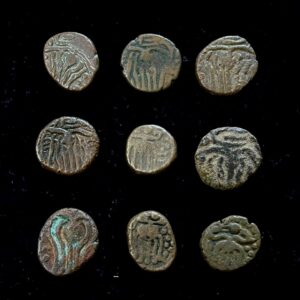 Shambhuraya Hari Hara I Vijaynagar Bull Type