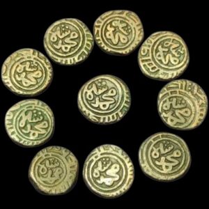 2 Gani Ala al-Din Muhammad Khilji Delhi Sultanate