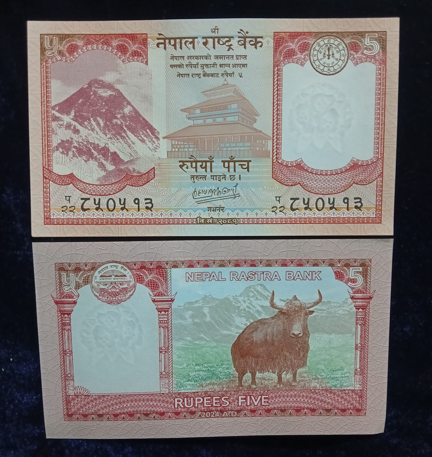 5 Rupees Banknote Nepal Rastra Bank