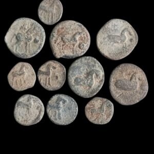 Hiranyakas of Karnataka Lead Coin